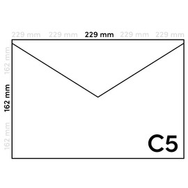 Netuno Pack of 25 Transparent Envelopes DIN C5 162 x 229 mm 110 g Golden Star Letter Envelopes Transparent Envelopes Large for Easter Cards Christmas Birthday Wedding Envelopes Transparent Paper