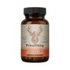 Vitality Supplement – Arctic Herb & Reindeer Organ Blend ，Daily