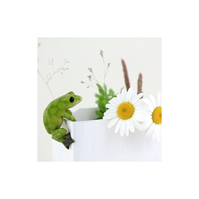 Top Collection Miniature Fairy Garden and Terrarium Frog Flower Pot