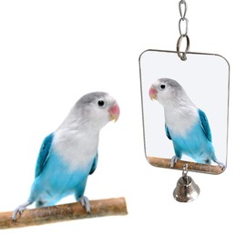 Bird Mirror with Bell,Parrot Cage Toys,Pet Bird Acrylic Mirror with Mirror for Greys Parakeet Cockatoo Cockatiel Conure Lovebirds Canaries Little Macaw African Parrot (3.14''W * 4.72''H)
