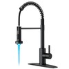 FORIOUS LED Kitchen Faucet with Pull Down Sprayer Black, Modern