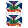 Totally Graphics 2 x Scottish Thistle Flags Stickers, Blue and