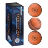 SPIN FIRST Soft & Safe Indoor Outdoor Incrediball Cricket Balls!