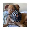 Genuine Leather Dog Muzzle for American Bully, Bully XL and