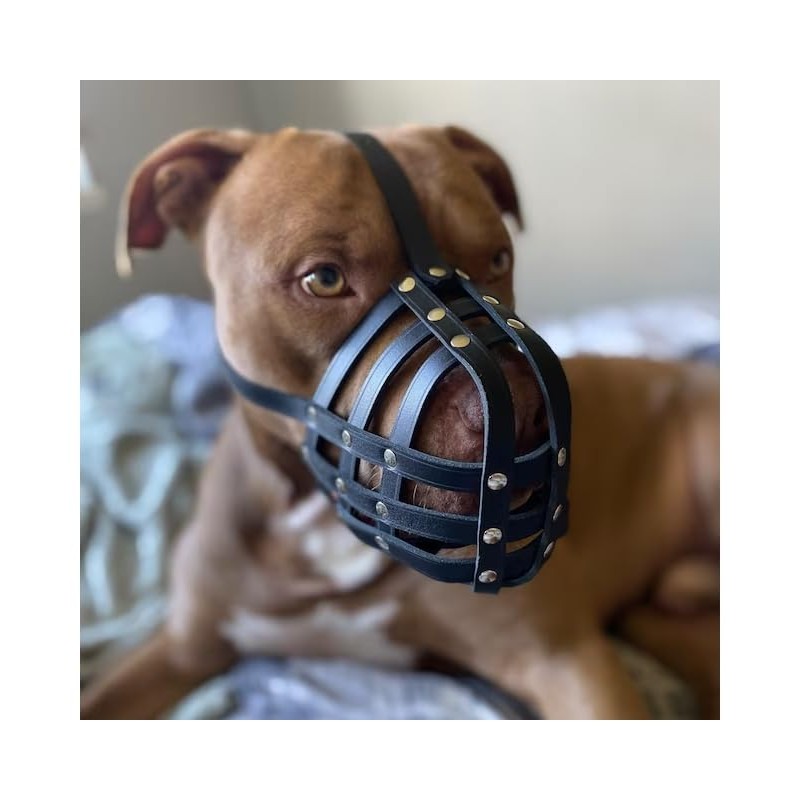 Genuine Leather Dog Muzzle for American Bully, Bully XL and