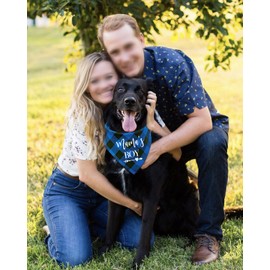 NTKIO Funny Blue Plaid Cotton Mama's Boy Pet Dog Bandana, Pet Dog Gender Reveal Photo Prop Triangle Bibs Accessories for Birthday Wedding Party Pet Dog Lovers Gift