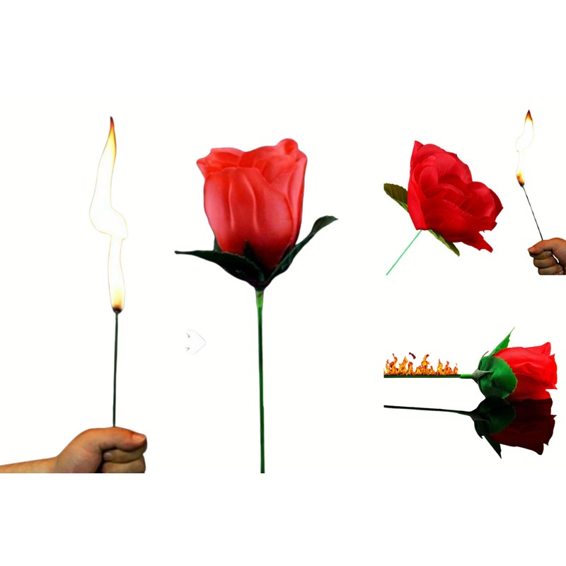 Yeahgoshopping The Torch to Rose Magic Trick – A Mesmerizing