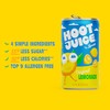 Hoot Juice Original Lemonade By Lemonati, No Artificial Sweeteners or