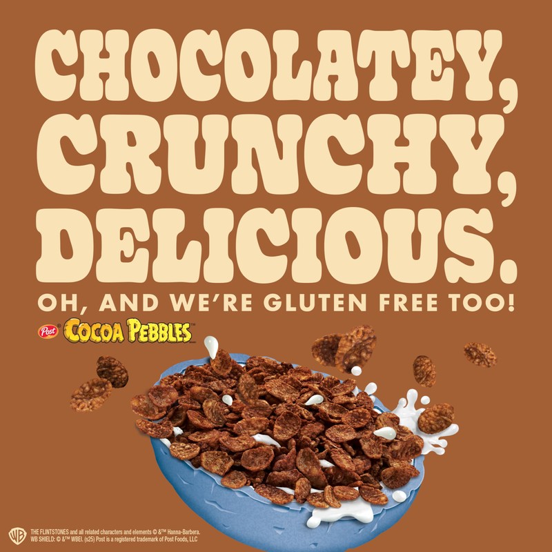 Pure Protein Cocoa PEBBLES™ Protein Bars – 20g Protein, 4g