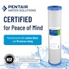 Pentair Pentek EPM-20BB Big Blue Carbon Water Filter, 20-Inch, Whole
