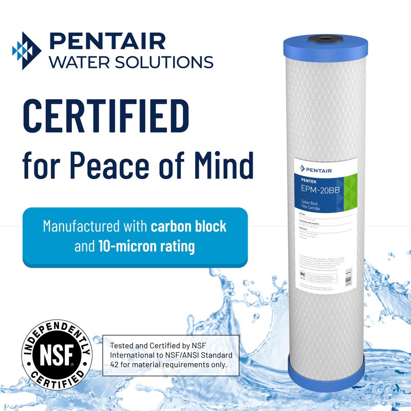 Pentair Pentek EPM-20BB Big Blue Carbon Water Filter, 20-Inch, Whole