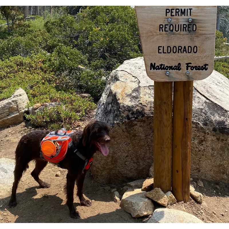 Saddlebag Back Pack & Harness Combo for Dogs 30-100+ lbs.