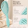 Cepillo para el cabello, paquete de 2, cepillos desenredantes curvos