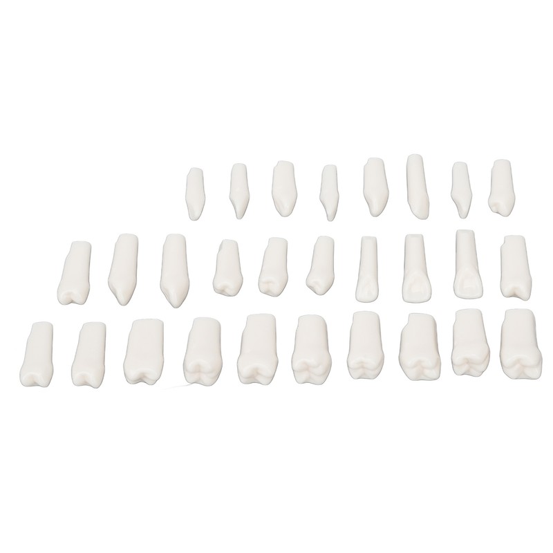 28Pcs Removable Teeth Piece Durable Plastic Removable Design False Teeth
