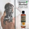 Shampoo Cola De Caballo Secreto Herbal Anticaida Romero 500ml