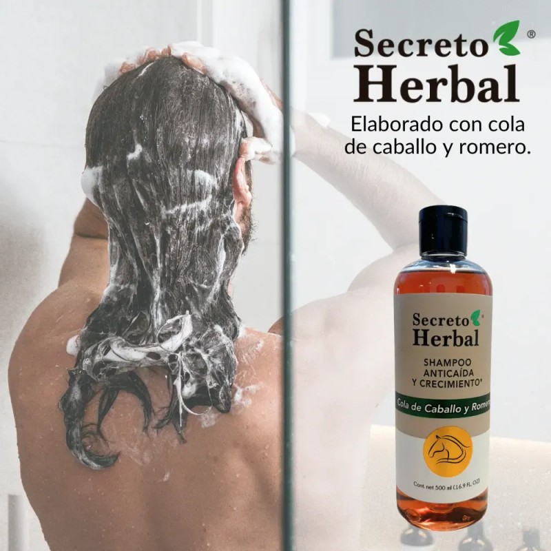 Shampoo Cola De Caballo Secreto Herbal Anticaida Romero 500ml