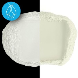 Glow in The Dark Pigment Powder - Neutral and Fluorescent Color for Art Painting, Fine Art, Nail Art Paint, and DIY Crafts - Long Lasting, 10+ Color Options - Neutral White - (60 Grams)