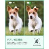 Lecran Digital Camera, 44 Megapixels, 1080P Video Recording, Auto Focus