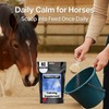 Freestep Composure – Natural Calming Supplement for Excitable or Anxious