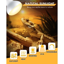 EvaStary 4 Pack 75-Watt Reptile Heat Lamp, E26 UVA Basking Spot Light Bulb, Natural Daylight Heating Light for Bearded Dragon, Lizards, Turtle, Other Reptiles & Amphibians