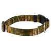 Country Brook Petz - Deluxe Waterfowl Camo Dog Collar -