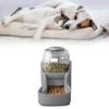 Automatic Dog Feeder Set Large Capacity Automatic Gravity Cat Water