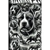 Pitbull Theme Journal: 120 Pages of Blank Lined Paper for