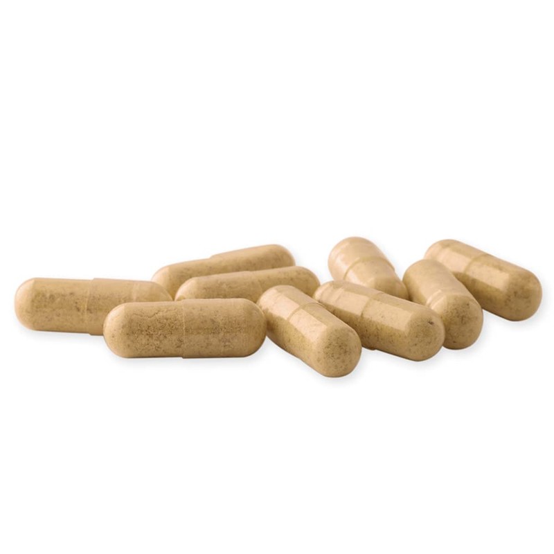Milk Thistle Complex Capsules with Milk Thistle Extract with Silymarin,