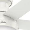 Hunter 46 inch Indoor Ceiling Fan with LED Light -