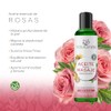 Naturalness Aceite para Masaje Corporal Hidratante con Manzanilla, Hamamelis y