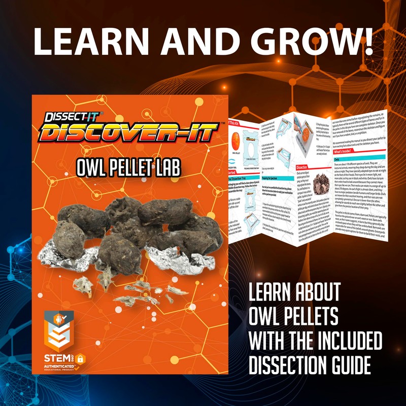 Discover-It Dissection Kit for Kids, Owl Pellet Science Lab Kit