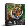 SunsOut Big Tiger 1000 Piece Jigsaw Puzzle for Adults by
