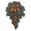 Nemesis Now D3563J7 Oak Guardian Wall Plaque 19.5cm Green, Resin