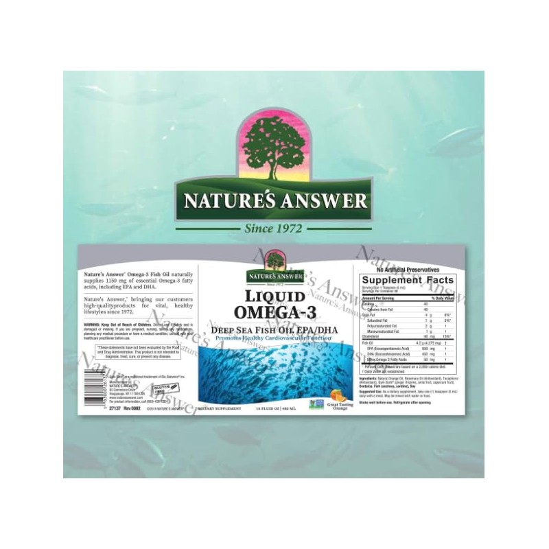 Liquid Omega 3, Great Tasting Orange, 480 ML