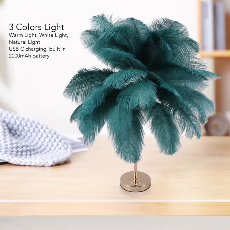 Decorative Table Lamp 30PCS Feathers USB Rechargeable Light Touch Control