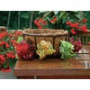 Kinsman 16 Inch Double Row Side Planting Hanging Basket with