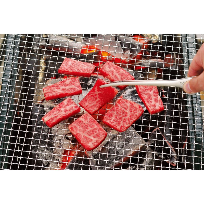 Todai 18-0 Clever Tongs, Economy Type, For Yakiniku, Pasta, Camping,