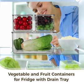 Homaisson 3 Pcs Transparent Refrigerator Storage Containers with Lids,Stackable Fruit and Vegetable Storage Boxes,Leak-Proof Organizers for Fridge,Ideal for Organizing Produce