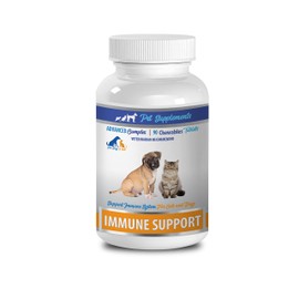 PET SUPPLEMENTS Dog Immune Booster - Immune Support - for Dogs and Cats - Vet Recommended - Chews - Mushroom Supplement for Dogs - 1 Bottle (90 Chews)