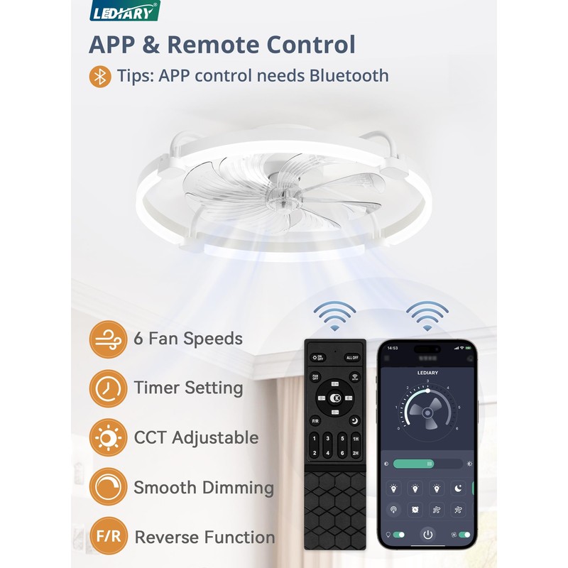 LEDIARY Ceiling Fans with Lights and Remote, 24'' Low Profile