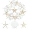 TaoQ C 15 PCS Starfish and Scallop Shells, 5cm-10cm Natural