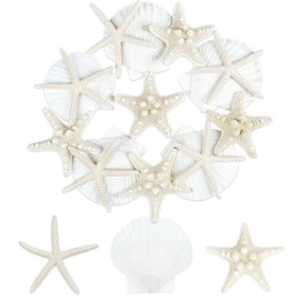 TaoQ C 15 PCS Starfish and Scallop Shells, 5cm-10cm Natural Seashells White Seashells Large Seashells for Crafts Wedding Decor Beach Theme Party, Fish Tank and Vase Filler