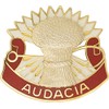 4th Air Defense Artillery Unit Crest (Audacia)