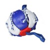 Interactive Outdoor Fly Ball Flying Saucer Ball Interesting Dog Soccer