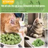 DYD - Gefriergetrocknete Kräutersnacks für Katzen 50g