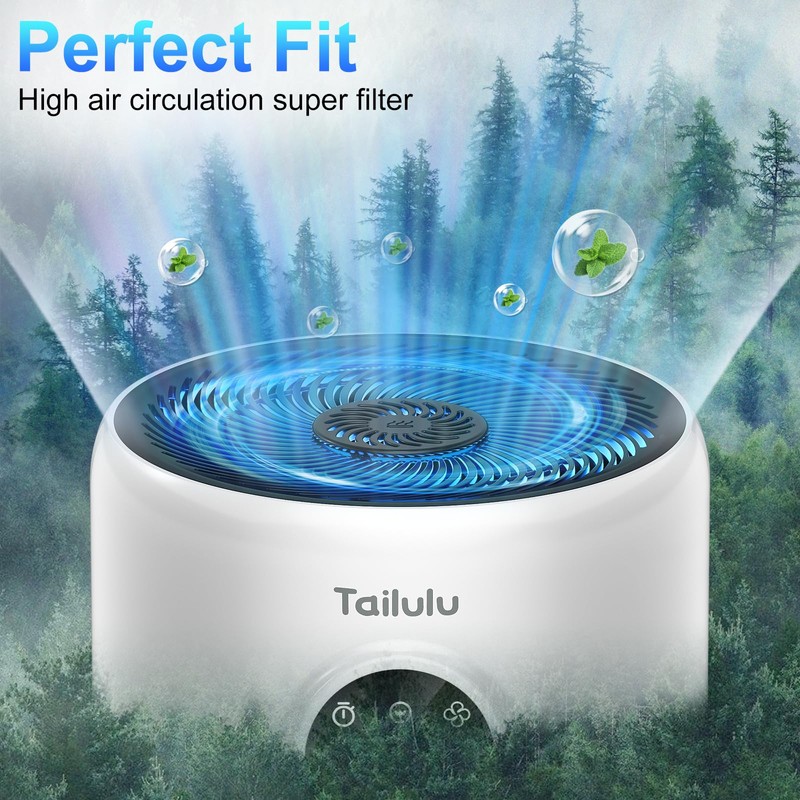 Tailulu 2 Pack D10 Replacement Filter, Air Purifier Filter for