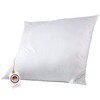Procave Micro Aloe Vera Summer Program, Microfibre, white, 80x80cm