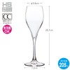 Toyo Sasaki Glass 30M70CS-L001 Champagne Glass with Foaming Function, 7.1