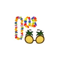 Pineapple Sunglasses & 4pc Hawaiian Multi-Coloured Lei Flower Garland Fancy Dress Set