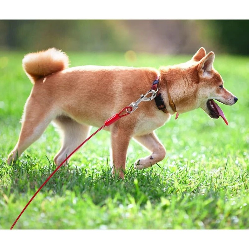 BV 30Ft Heavy Duty Dog Leash Cable For Dogs Up